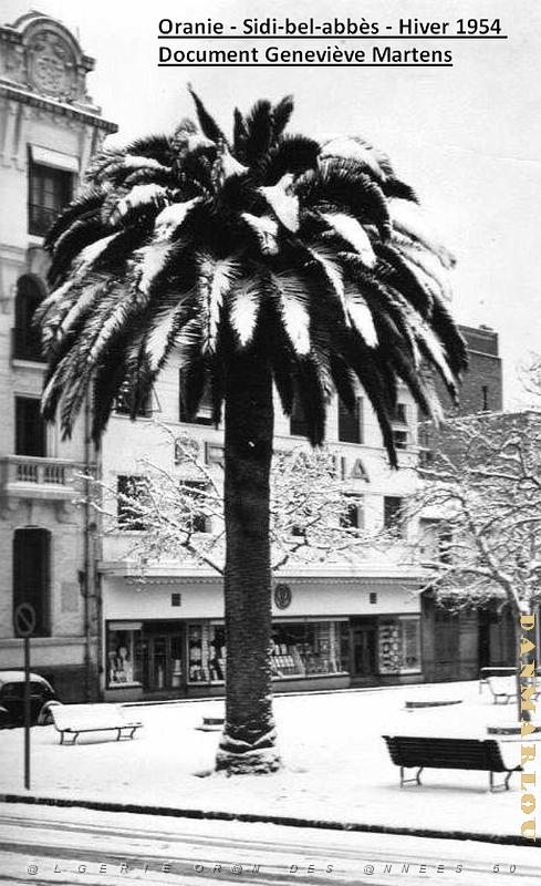 Sidi bel abbes hiver 1954  (10) de Genevieve Martens.jpg